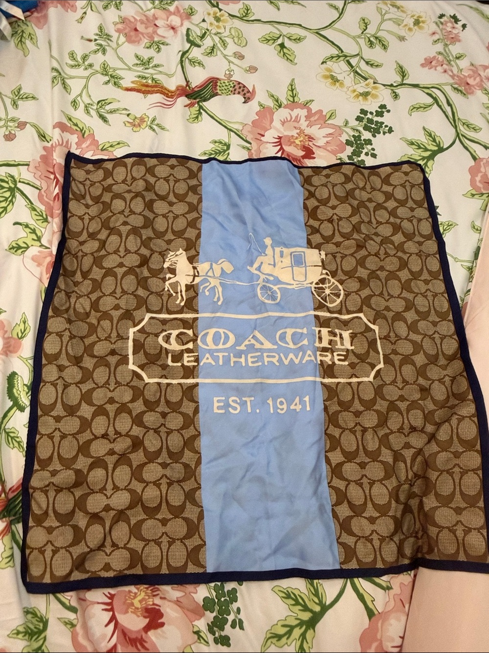 Coach Brown Signature Scarf with Light Blue Stripe